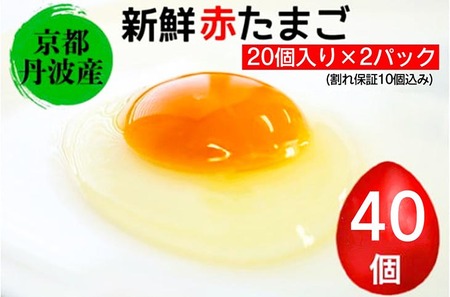 新鮮 卵 京都・丹波の赤たまご 計40個 割れ保証あり| 生卵 たまご 鶏卵 小分け 贈答 ギフト ※北海道・沖縄・離島への配送不可