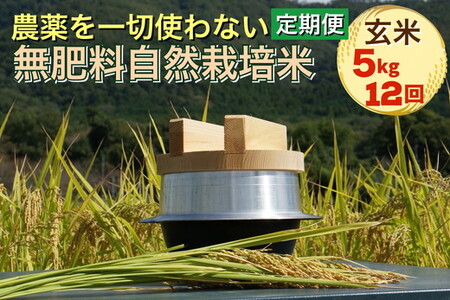 米 定期便 令和6年産 自然栽培米 にこまる [農薬を一切使わない無肥料栽培] 玄米 5kg×12ヶ月 60kg | 新米 京都丹波産 無農薬米栽培向き 厳選品種 12回お届け ※2024年10月中旬頃より順次発送予定