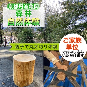 春休み 自然体験 親子で丸太切り体験 コースター・椅子製作体験(家族単位)体験 森林 日帰り ピクニック 京都 丹波 亀岡