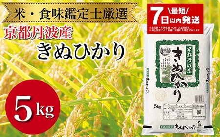 米 7日以内発送 令和6年産 新米 京都丹波産 きぬひかり 5kg 京都伏見のお米問屋が精米 新米 米 白米