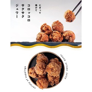 唐揚げ(もも)だし塩+醤油 各500g 計1kg[京都唐揚げ専門店 開]レンジ 冷凍 人気 惣菜 グルメ 食品 鳥肉 唐揚げ から揚げ ※北海道・沖縄・離島への配送不可