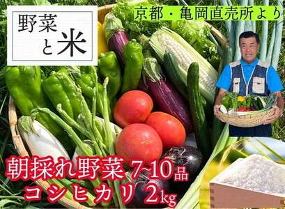 予約 野菜と米 京都 佐伯の里 新鮮 旬の野菜セット 7〜10品 コシヒカリ2kg 新米 京都丹波・亀岡産 季節の野菜 詰め合わせ 訳あり 生活応援 ※北海道・沖縄・離島への配送不可 ※2025年9月下旬頃より順次発送