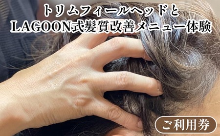 ヘッドスパ・トリムフィールヘッド と LAGOON式 髪質改善メニュー [体験 ご利用券 美容 サロン 美容室 ヘアケア トレーニング ケア 美容体験 チケット]