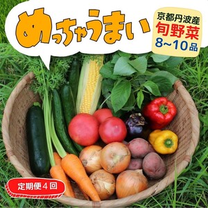 [4回定期便][369商店]京都丹波産旬の野菜セット ※全て栽培期間中農薬・化学肥料不使用 ※北海道・沖縄・離島への配送不可