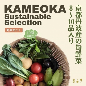 【10回定期便】丹波産野菜セット 野菜