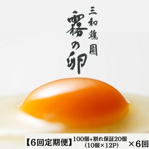[6回定期便]新鮮 卵 120個(100個+卵割れ保証20)(10×12パック)京都丹波『霧の』三和鶏園 ≪たまご タマゴ 玉子 生卵 鶏卵 小分け 贈答 ギフト ふるさと納税 直送 冷蔵 朝食 料理 人気≫ ※北海道・沖縄・離島への配送不可