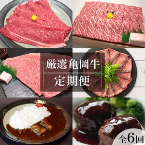 [全6回定期便]亀岡牛 定期便 亀岡牛専門店が厳選 お楽しみ 食べ比べ セット ≪冷凍 焼肉 すき焼き サーロイン ステーキ ローストビーフ 赤身 もも 肉 牛肉 国産 黒毛和牛 肉 京都 丹波 BBQ 人気 おすすめ≫ ※離島への配送不可