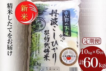 コシヒカリ 10kg×6回 米定期便 米定期便 米定期便 米定期便 米定期便