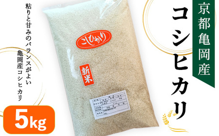 ߘa7NY sTY RVqJ 5kg Ďd V    2025N11{`12{ɏ\