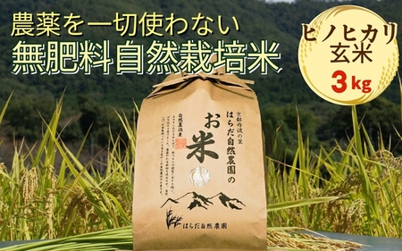米 令和7年産 自然栽培米 ヒノヒカリ [農薬を一切使わない無肥料栽培] 玄米3kg [京都丹波産 最高良食味 人気品種]