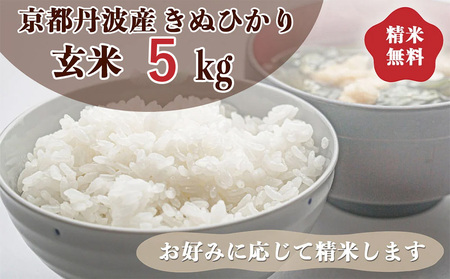 令和7年産 京都丹波産 きぬひかり 5kg 玄米 精米