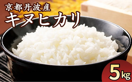 京都丹波産 きぬひかり 精米 5kg[JA京都たわわ朝霧] 白米