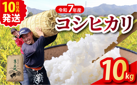 令和7年産 コシヒカリ 10kg 精米 白米