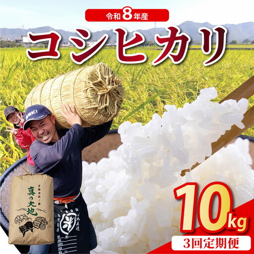 【3回定期便】令和8年産 コシヒカリ 10kg 定期便 精米 白米