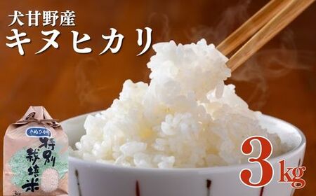 米 令和7年産 キヌヒカリ 3kg 京都丹波 白米