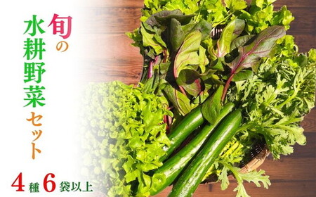 野菜 旬の水耕野菜セット 4種6袋以上 京都 亀岡産