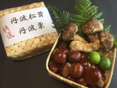 極上 丹波松茸 丹波栗 詰め合わせ[京都・八光館]松茸 松茸 松茸 松茸 松茸