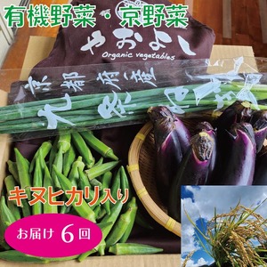 亀岡産 キヌヒカリ 2kg & 野菜詰め合わせ[定期便]合計6回お届け 有機野菜・京野菜の『京都やおよし』オーガニック 有機JAS 栽培期間農薬不使用 減農薬 野菜定期便 米 ※着日指定不可 ※北海道・沖縄・離島への配送不可≪野菜 定期便 詰め合わせ 野菜 定期便 野菜 定期便 野菜セット 野菜 定期便 旬 野菜 定期便 京都府 野菜 定期便 亀岡市 野菜 定期便 丹波 野菜≫