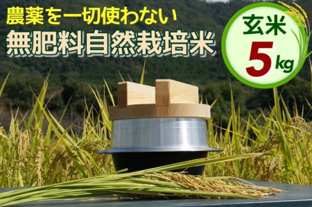 米 令和6年産 自然栽培米 にこまる ＜農薬を一切使わない無肥料栽培＞ 玄米 5kg 《新米 京都丹波産 無農薬米栽培向き 厳選品種》