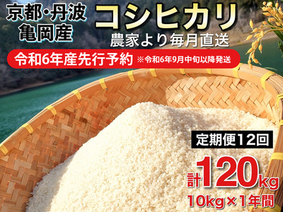 【令和6年産先行予約】米 白米 定期便 10kg×12ヶ月 120kg コシヒカリ 佐伯の里の源流米  ※北海道・沖縄・離島の配送不可 ※2024年10月以降発送予定≪希少 農家直送 令和6年産 新米 10キロ 12回 低農薬米 減農薬米 京都丹波産 こしひかり 生活応援米 大人気お米 人気お米 新米 国産お米≫