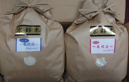 米 契約農家の亀岡米食べ比べセット(コシヒカリ5kg、キヌヒカリ5kg)◆京都丹波産 特A