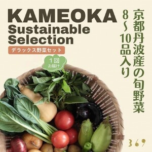 京都丹波産 旬の野菜セットDX 野菜