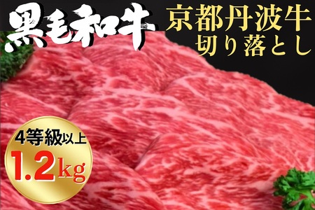 厳選 京丹波牛 4等級以上!贅沢 切り落とし1.2kg(600g×2パック)[冷蔵]京丹波かぐら ※離島への配送不可[京都 産 黒毛和牛 牛 和牛 肉 牛肉 黒毛和牛 国産牛肉 京都府産 すき焼き しゃぶしゃぶ スキヤキ すきやき 肉牛 すき焼き 肉 国産 京都府産 しゃぶしゃぶ スキヤキ すきやき 肉牛 ]