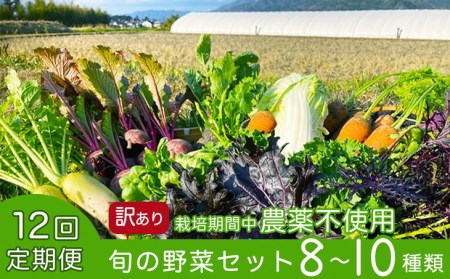 野菜 12回定期便 かたもとオーガニックファームの農業研修生が無農薬・自然栽培で育てたお野菜セット 8〜10品目 産地直送 朝採れ野菜 新鮮野菜 京野菜 京都府亀岡産