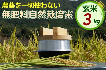 米 令和6年産 自然栽培米 にこまる [農薬を一切使わない無肥料栽培] 玄米 3kg | 新米 京都丹波産 無農薬米栽培向き 厳選品種 ※2024年10月中旬頃より順次発送予定