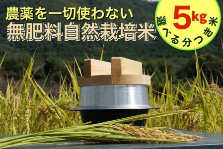 米 令和6年産[七分つき]自然栽培米 にこまる [農薬を一切使わない無肥料栽培] 分つき米5kg・精米したて [新米 京都丹波産 無農薬米栽培向き 厳選品種] ※2024年10月中旬頃より順次発送予定