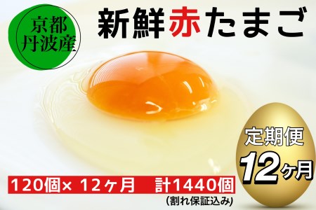 【12回定期便】新鮮 卵 京都・丹波の赤たまご 120個（100個＋割れ保証20個）×12ヶ月 計1440個 ※北海道・沖縄・離島への配送不可《生卵 たまご 小分け ギフト たまごセット 卵焼き 卵かけご飯 ゆで卵》