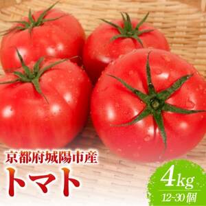 京都府産 トマト 約4kg(12〜30個)産地直送[配送不可地域:離島]