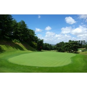 東城陽ゴルフ倶楽部ゴルフプレー利用券 3枚 3000円 京都ゴルフ場 チケット券ゴルフコースプレー_旅行券・チケット ゴルフプレー券 体験チケット _