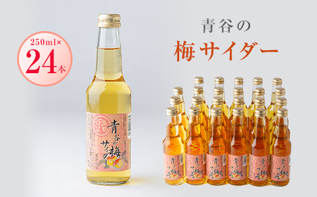 青谷の梅サイダー250ml　_飲料・ドリンク 炭酸飲料 ジュース _【1258587】