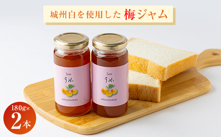 爽やかな朝のスタートに梅のピュアな香りと酸味の効いた[梅ジャム] 180g 2本セット_惣菜・加工品 ジャム 缶詰・瓶詰 _