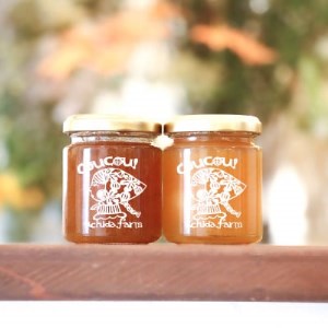 [うちだ農園coucou!]城陽特産たっぷり!無添加ジャムセット_惣菜・加工品 ジャム 缶詰・瓶詰 _