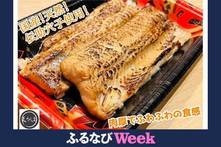 [ふるなびWEEK対象]国産天然伝助穴子の煮穴子炙り(およそ6人前)|国産 天然 伝助穴子 煮穴子 炙り FN-Limited-PR [1441f]