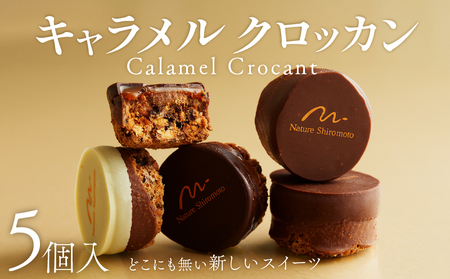 キャラメルクロッカン 5個入 焼き菓子 チョコレート チョコレート チョコレート チョコレート チョコレート チョコレート