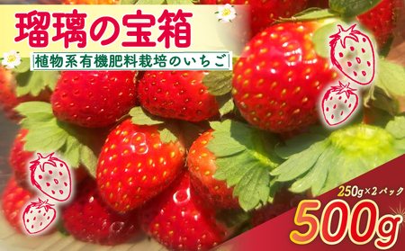 植物系有機肥料のいちご 瑠璃の宝箱 計500g(250g×2P) [2026年2月〜5月発送] 先行受付 いちご いちご