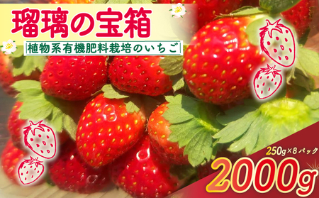 AnL@엿̂ ڗ̕ v2kg(250g×8P)s2026N2-5t st yz
