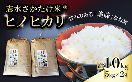 [先行受付]志水さかたけ米R ヒノヒカリ 10kg [2025年11月〜12月発送] 米 米 米 米 米