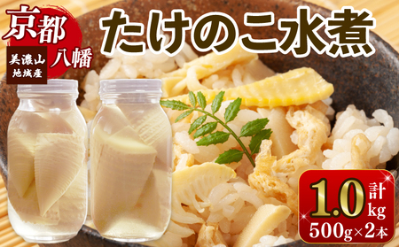 期間限定 真空瓶詰めのたけのこ水煮 約1000g 約500g×2本 [受付〜2025年11月まで] たけのこ たけのこ