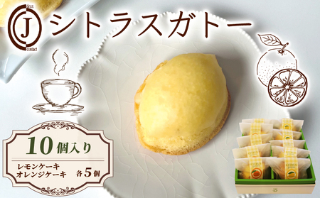 焼き菓子 シトラスガトー 10個入り オレンジケーキ レモンケーキ 焼き菓子 焼き菓子 焼き菓子 焼き菓子 焼き菓子