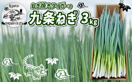先行受付 ねぎ焼きタイガーの九条ねぎ 3kg [2025年11月〜12月発送] 九条ねぎ ねぎ ねぎ ねぎ ねぎ
