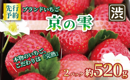 先行受付 京都のブランドいちご 京の雫 約520g 260g×2パック 2025年12月〜翌年5月発送 いちご いちご いちご いちご