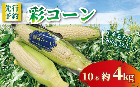 白いとうもろこし 彩コーン 約4kg 10本 [2026年6月〜7月発送] ホワイトコーン とうもろこし とうもろこし