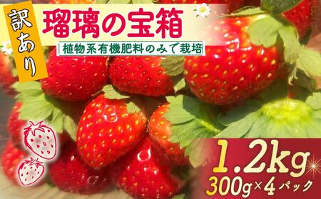 AnL@엿̂ ڗ̕ 󂠂 v1.2kg(300g×4P)s2026N2-5t st yz
