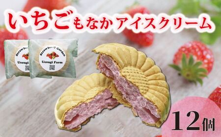 �������_�Ƃ̂Ђ���A�C�X �Œ��A�C�X12�� ������ � �C�`�S �������A�C�X�N���[�� �A�C�X �A�C�X�N���[�� �Œ��A�C�X �Œ� ���Ȃ� ���i�J �₽�� �Ђ��� �Z�b�g �l�C �������� �ӂ邳