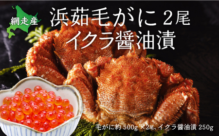 厳選 浜茹毛がに2尾イクラ醤油漬(網走産) [ ふるさと納税 人気 おすすめ ランキング 毛がに いくら醤油漬 鮭いくら セット おいしい 北海道 網走市 送料無料 ]