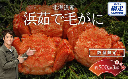 【数量限定】＜北海道産＞浜茹で毛がに【約500g×3尾】（網走加工） 【 毛蟹 毛ガニ 毛がに かに味噌 カニみそ 】 ABC017